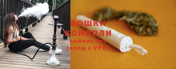 гашик Кулебаки