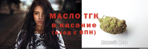 гашик Кулебаки
