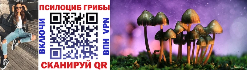 Галлюциногенные грибы GOLDEN TEACHER  Купить закладки  Ахтубинск 